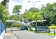 UFPB Sisu 2026: Confira as notas de corte atualizadas pelo MEC